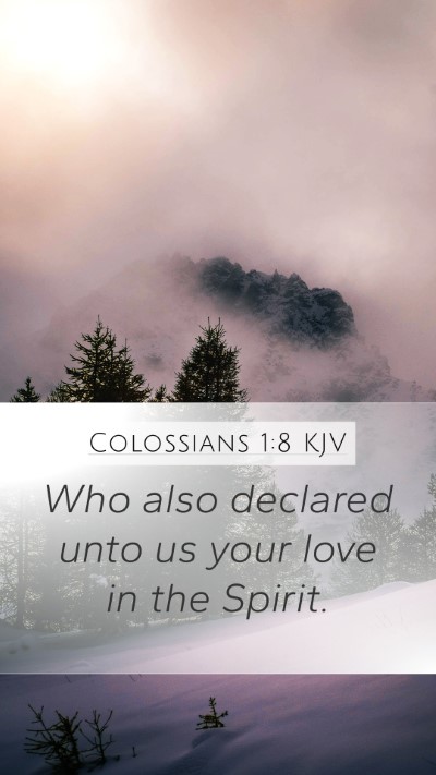 Colossians 1:8 Explained