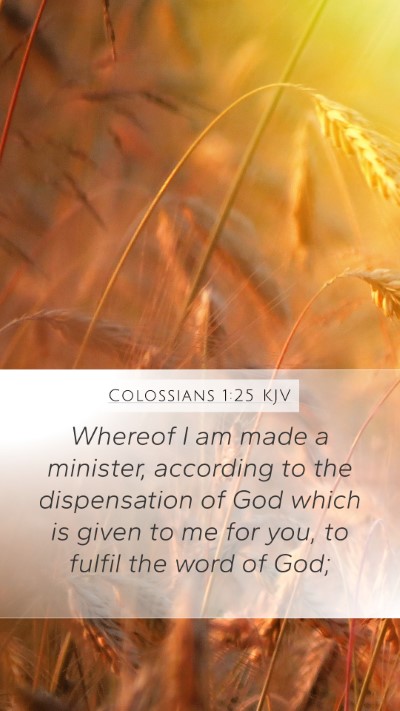 Colossians 1:25 Explained