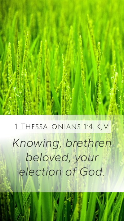 1 Thessalonians 1:4 Explained