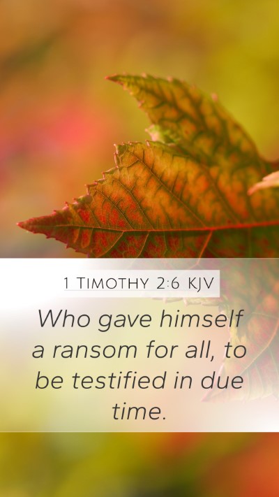 1 Timothy 2:6 Explained