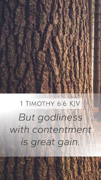 1 Timothy 6:6 Explained