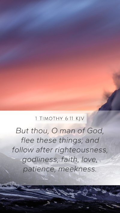 1 Timothy 6:11 Explained