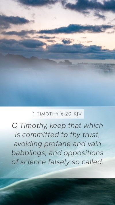 1 Timothy 6:20 Explained