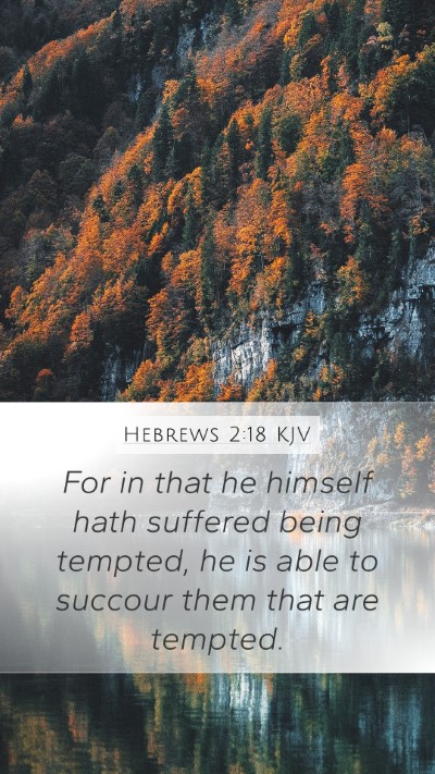 Hebrews 2:18 Explained