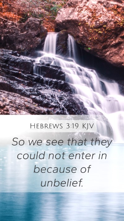 Hebrews 3:19 Explained