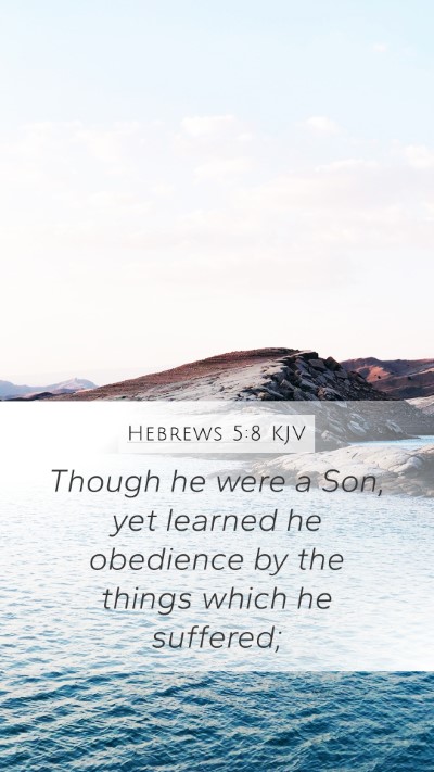 Hebrews 5:8 Explained