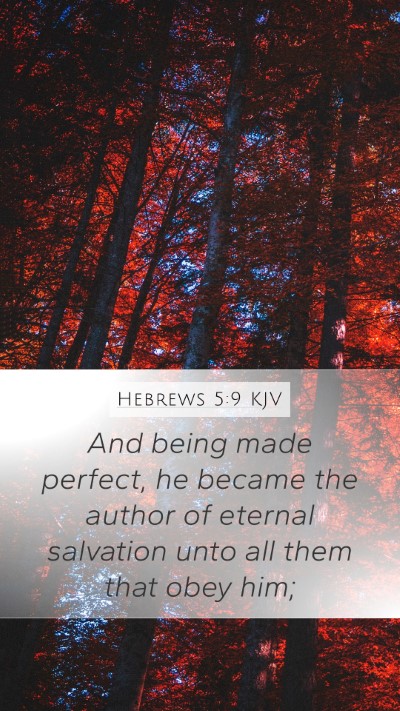 Hebrews 5:9 Explained