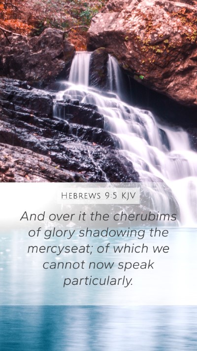 Hebrews 9:5 Explained