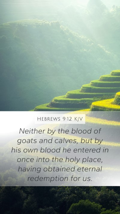 Hebrews 9:12 Explained