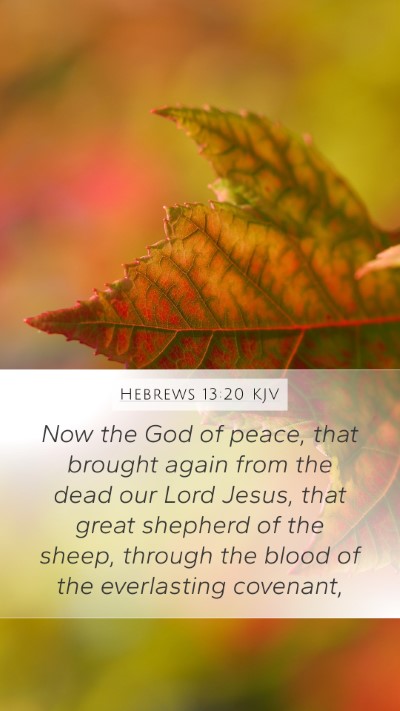 Hebrews 13:20 Explained