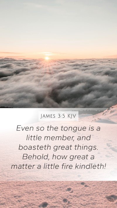 James 3:5 Explained