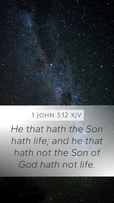 1 John 5:12 Explained