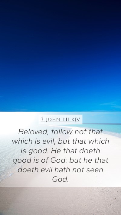 3 John 1:11 Explained