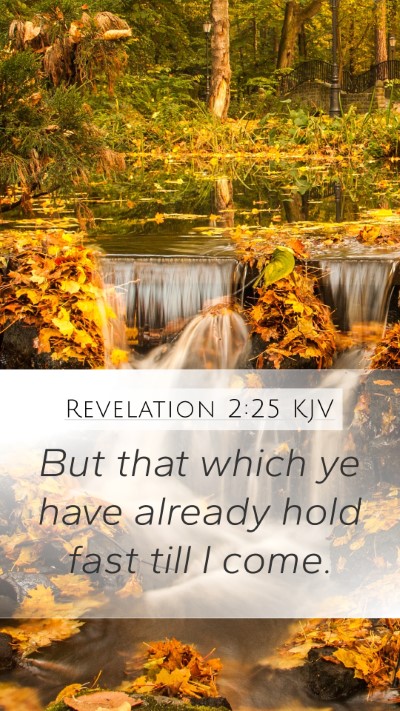 Revelation 2:25 Explained